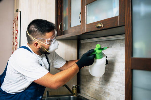 Best Pest Control Treatment  in Pea Ridge, AR