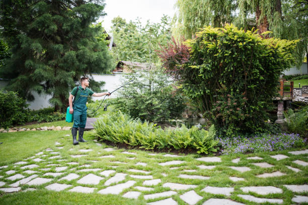 Best Pest Control for Restaurants  in Pea Ridge, AR