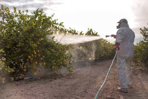 Best Pest Control Near Me  in Pea Ridge, AR