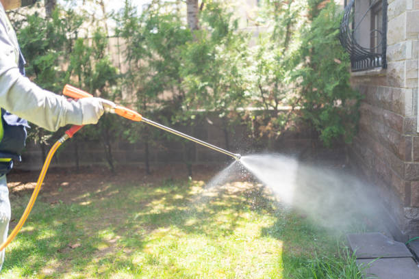Best Best Pest Control Near Me  in Pea Ridge, AR