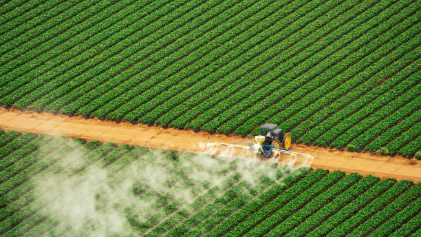 Best Pest Inspection Near Me  in Pea Ridge, AR
