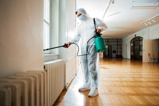 Best Affordable Pest Control Services  in Pea Ridge, AR