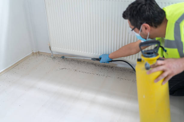 Best Cockroach Control Services  in Pea Ridge, AR