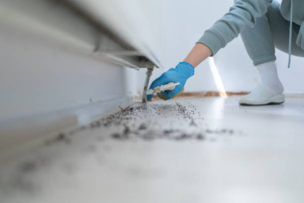 Professional Pest Control in Pea Ridge, AR